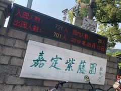 -嘉定紫藤园