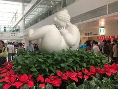 -北京协和医院(东单院区)