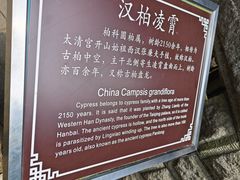 -青岛崂山太清宫