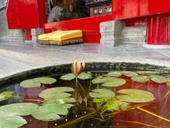 -西安市广仁寺