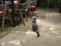-咖法森林·咖啡  酒吧(天河店)