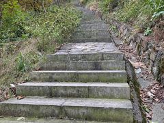 -北仑森林植物园