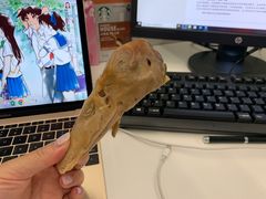 盐水鸭头-戚顺兴盐水鸭(新街口明瓦廊店)