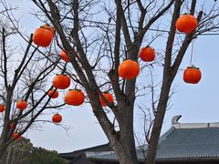 -狼山风景名胜区