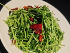 -纯阳•六两酒馆