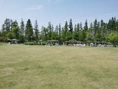 -上海长兴岛郊野公园