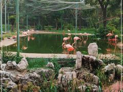 -石家庄市动物园