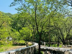 -大岭沟猕猴桃谷风景区