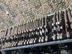 -亲兄弟真人CS团建拓展基地