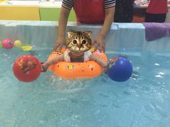-KidsHome毅英宝贝家早教托育中心