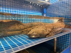 -神洲四海大酒楼(王府井澳门中心店)