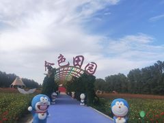 -金塔沙漠胡杨林景区