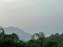 -南山植物园