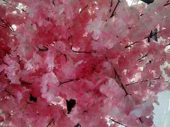 -福建鲤鱼洲酒店