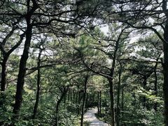 -北京西山国家森林公园