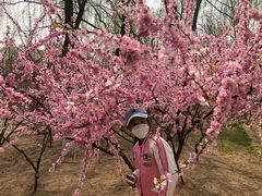 -大兴滨河森林公园