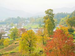 -塔川景区