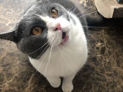 -渝和喵叔米线(南坪万达店)