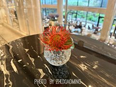 -羿庭 Peacock Alley(上海外滩华尔道夫酒店)