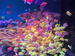 -秦皇岛新澳海底世界