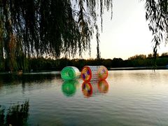 -廊坊市自然公园