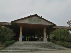 -兴隆槟榔园休闲农庄
