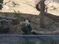 -青藏高原野生动物园