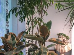 -甲乙果 美术书法(通州校区)