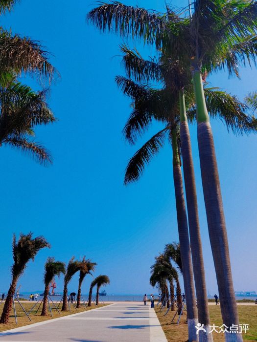 滨海公园图片