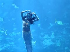 -太平洋海底世界