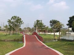 -王借岗森林公园