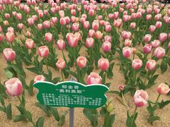 -公益图书馆(江南大学店)