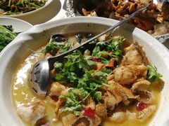 -鲤鱼塘农家山庄