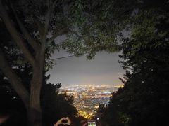 -惠山国家森林公园