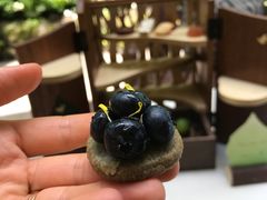 -Bleston Court Yukawatan