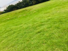 -青龙山公园
