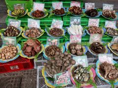 android_upload_pic-佳缘野生菌食府
