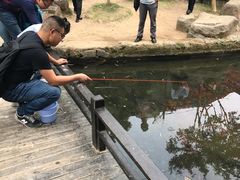 -白马涧龙池景区
