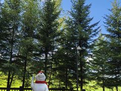 -长白山万达喜来登度假酒店