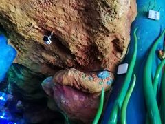 -青岛嘉年华主题乐园