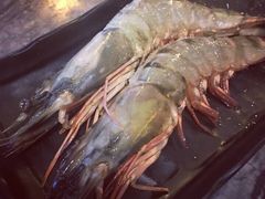 -熊出没日本烧肉放题