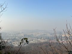 -紫金山山顶公园