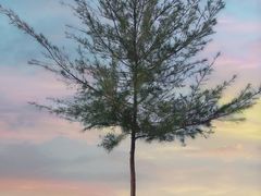 -白沙门生态公园