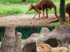 -杭州野生动物世界