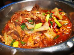 -树厨贵州菜(大十字店)