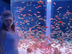 -海合安成都极地海洋公园