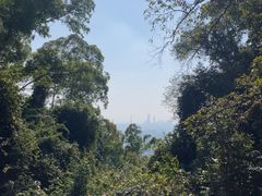 -火炉山森林公园