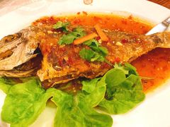 Three flavored Snapper-Thai Pothong Restaurant