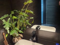 -泰·菩提树下[泰式按摩x精油SPAx肩颈头疗](新景店)