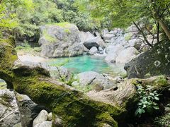 -石台牯牛降景区